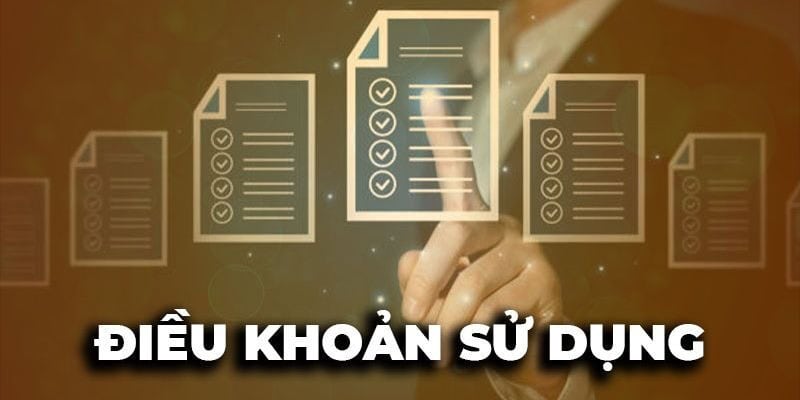 Những quy định hiện hành trong chính sách điều khoản cho thành viên